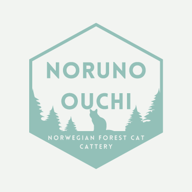 norunoouchi